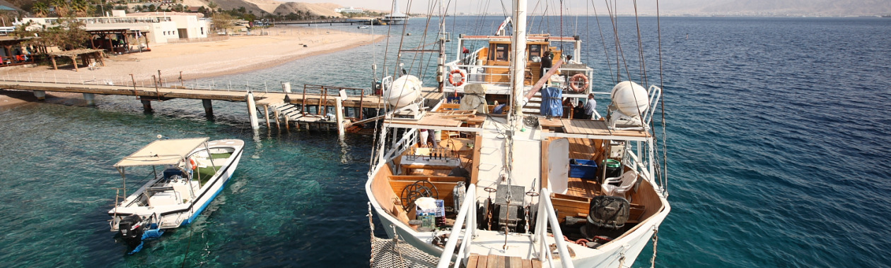 IUI  Eilat